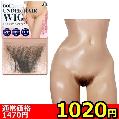 yPOQO~ʌzh[pA_[wAEBbOllP_聄iij